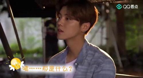 鹿晗电影花絮集锦,星光熠熠的花絮集锦